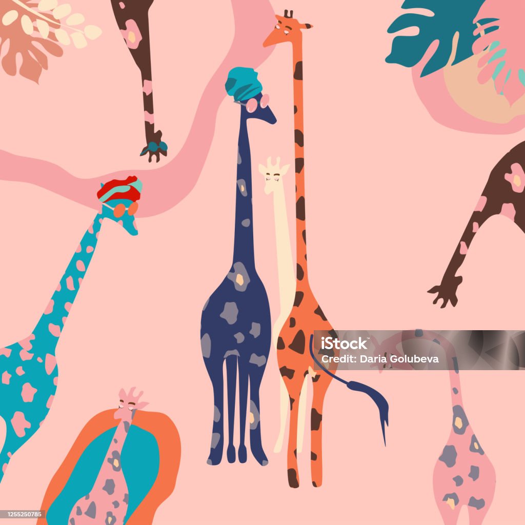 African Multicolored Giraffes Family With Sunglasses And Turbans Stock
