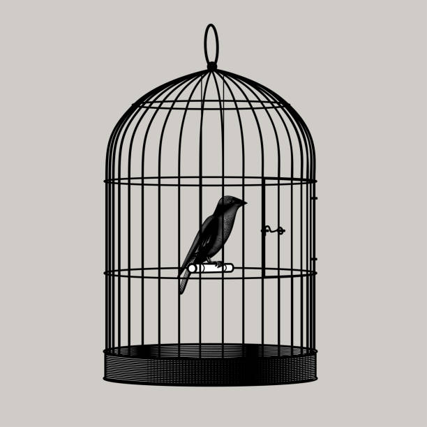 vogel sitzt in einem käfig - birdcage stock-grafiken, -clipart, -cartoons und -symbole