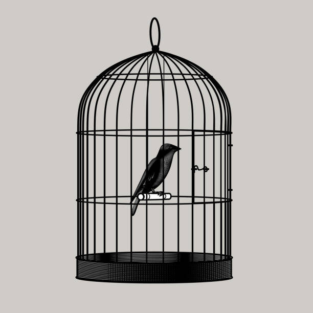 鳥坐在籠子裡 - 鳥 籠 插圖 幅插畫檔、美工圖案、卡通及圖標
