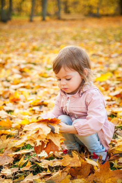 istock Little girl picking up maple leaves 1255256693