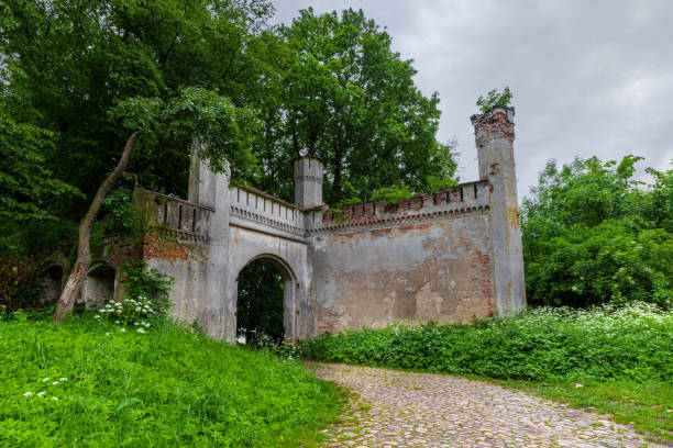 istock Remains, fragment of an old castle stone wall 1255256716
