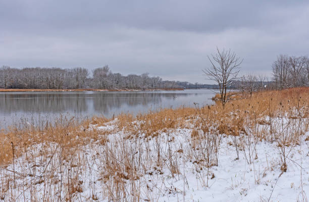 istock Early Spring Snow on the Prairie Grasses 1255257561