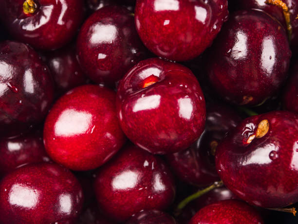istock Sweet Italian cherries, macro shot 1255257789