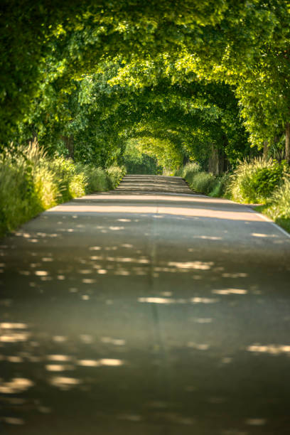 istock road in rural landscape 1255258933