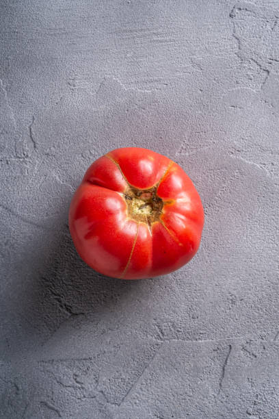 ein rosa erbstück tomatengemüse, frische rote reife tomaten, vegane lebensmittel, stein beton hintergrund, top-ansicht - tomato beefsteak tomato heirloom tomato pink stock-fotos und bilder