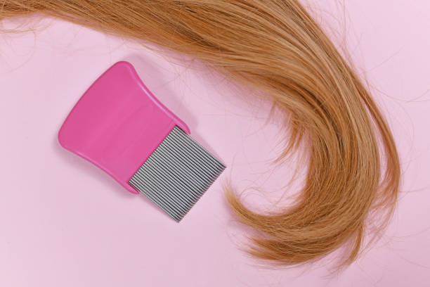 brin de cheveux blonds avec le peigne de poux sur le fond rose clair - ectoparasite photos et images de collection