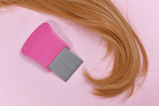 strand of blond hair with lice comb on light pink background - ectoparasite imagens e fotografias de stock