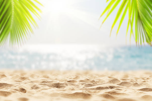 istock Blurred blue sky and sea with bokeh light. 1255263645