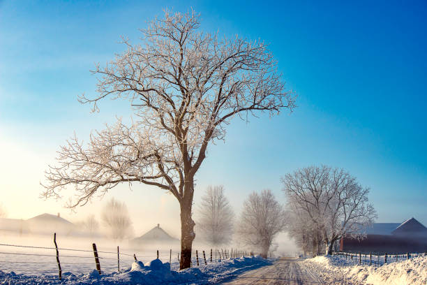 Winter landscape in