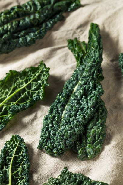 istock Raw Green Organic Tuscan Dinosaur Kale 1255265055