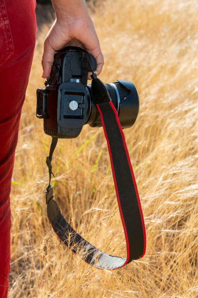 istock Photographer holding a camera in his hand 1255266242