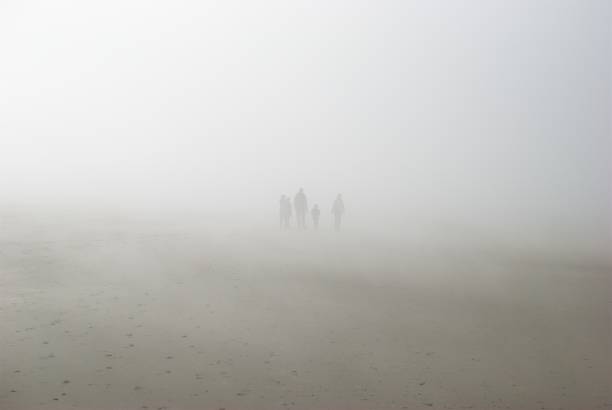 istock sea fog on the north sea 1255266480