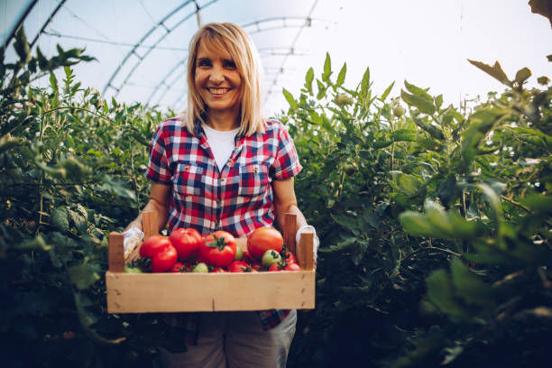 istock Female farmer in her greenhouse 1255267518