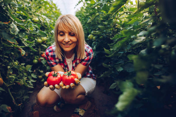 istock Female farmer in her greenhouse 1255267530