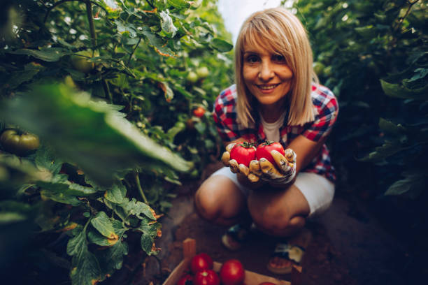 istock Female farmer in her greenhouse 1255267539