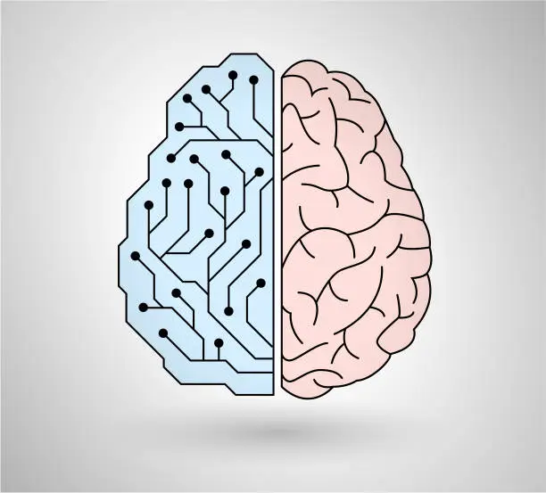 Vector illustration of Left/right brain theory