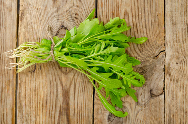 istock Bunch of fresh green arugula. Studio Photo 1255269880