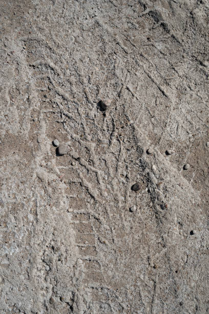 istock footprint in  sand from car, sharp image in focus 1255273296