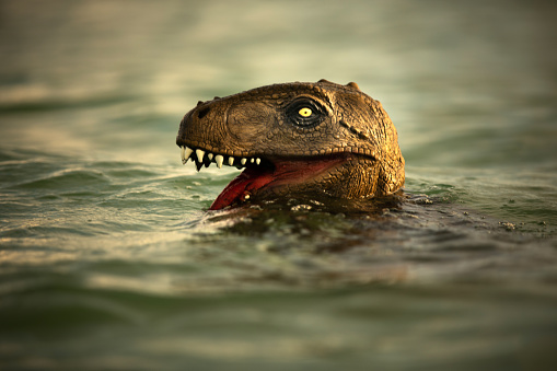 Guy wearing dinosaur mask in the water pretending to be scary