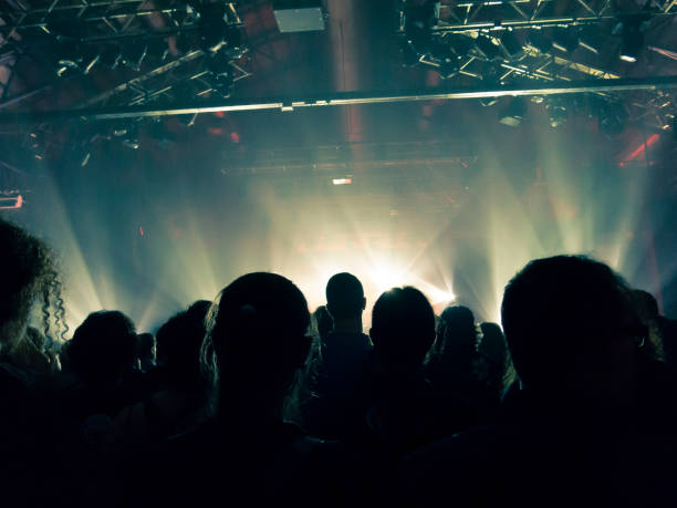 istock Music festival crowd 1255275132