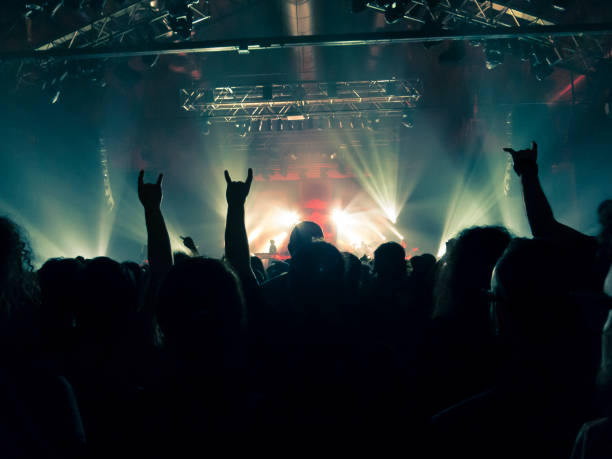 istock Music festival crowd 1255275660