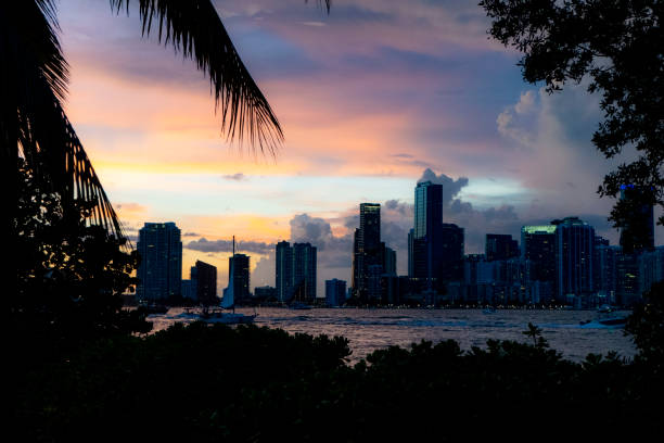istock Miami skyline at night seen across the bay 1255283249