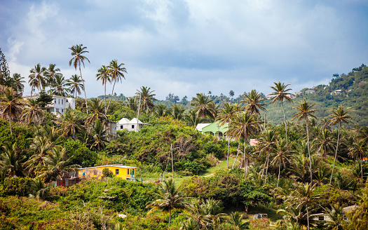 Caribbean homes on the hillside, Barbados