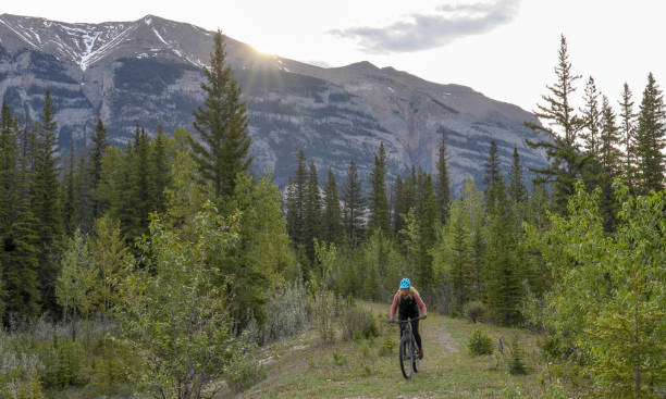 istock Female mountain e-biker rides along forested trail 1255286388