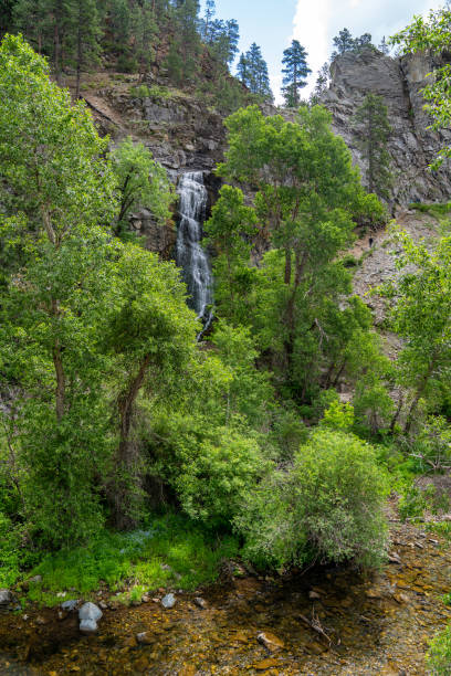 Bridalveil falls in Spearfish Canyon along the scenic byway road in the Black Hills National Forest Bridalveil falls in Spearfish Canyon along the scenic byway road in the Black Hills National Forest black hills national forest stock pictures, royalty-free photos & images