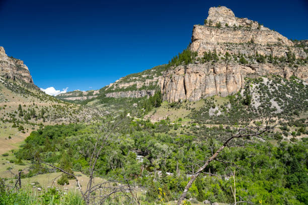 o colorido e exuberante canyon tensleep ao longo do cloud peak skyway (rodovia 16 dos eua) na floresta nacional de wyoming bighorn no verão - bighorn mountains - fotografias e filmes do acervo