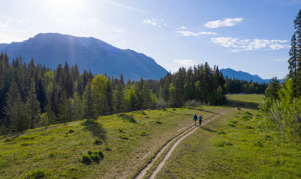 istock Mature couple walk on trail through grassy meadow 1255288082