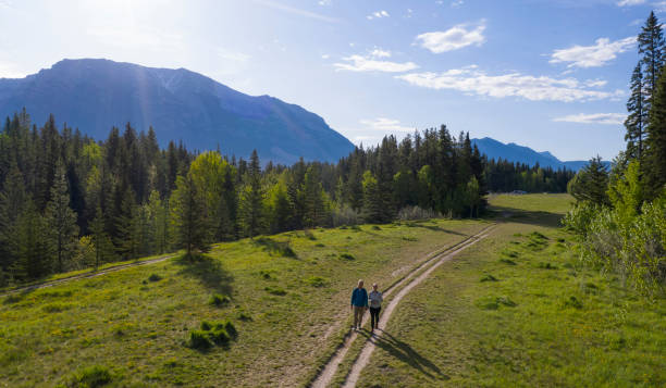 istock Mature couple walk on trail through grassy meadow 1255288820
