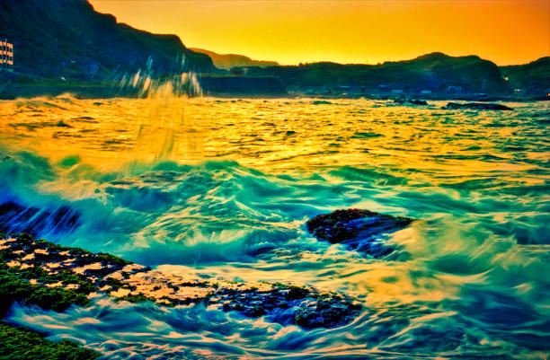 Moss on Nha Trang beach in sunrise - Nha Trang city, Khanh Hoa province, central Vietnam