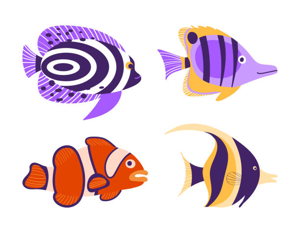 ilustrações, clipart, desenhos animados e ícones de peixes trópicos isolados em fundo branco - tropical fish clown fish isolated animal