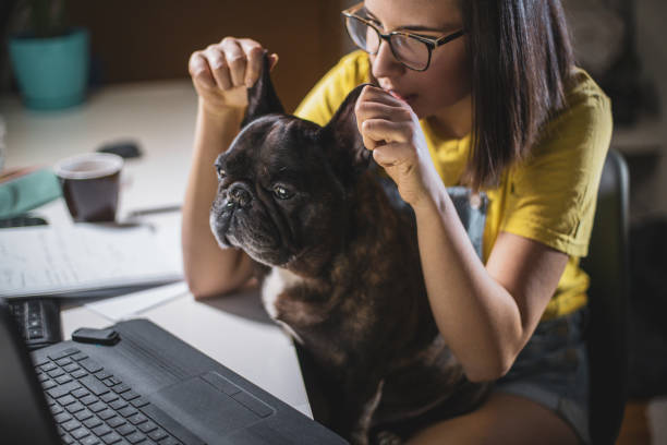 istock Young woman studying at home 1255293339