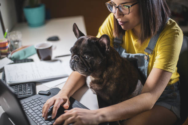 istock Young woman studying at home 1255293342