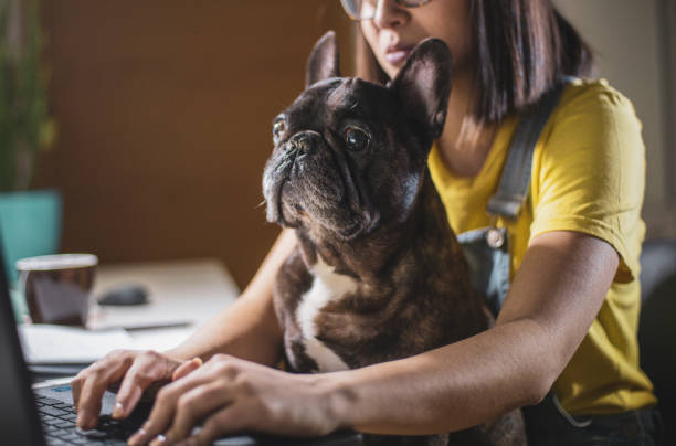 istock Young woman studying at home 1255293343
