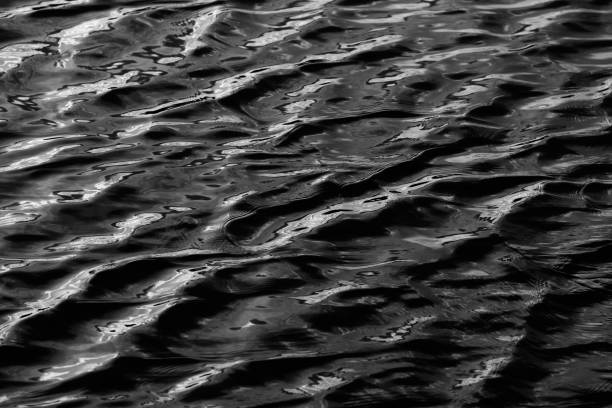 istock black and white water texture. background for the designer 1255293375