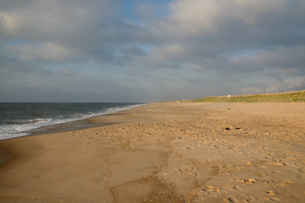 istock Fourth of July at Assateague Island 1255294063