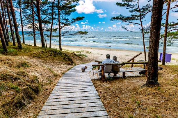 Happy couple of seniors are sitting near a sandy beach of the Baltic Sea Happy couple of seniors are sitting on forestry bench and looking at the distance on the Baltic Sea, near is their Yorkshire terrier baltic sea people stock pictures, royalty-free photos & images