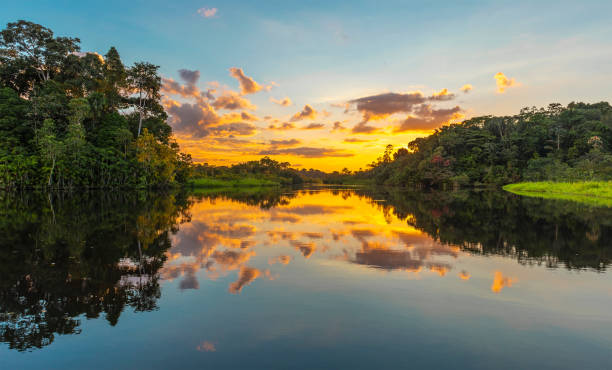 Amazon Rainforest Sunset Panorama Panorama of a sunset in the Amazon Rainforest which comprise the countries of Brazil, Bolivia, Colombia, Ecuador, Guyana, Peru, Suriname and Venezuela. iquitos photos stock pictures, royalty-free photos & images