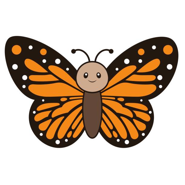 Cute Monarch Butterfly With Outline Vector Illustration On White Stock  Illustration - Download Image Now - iStock