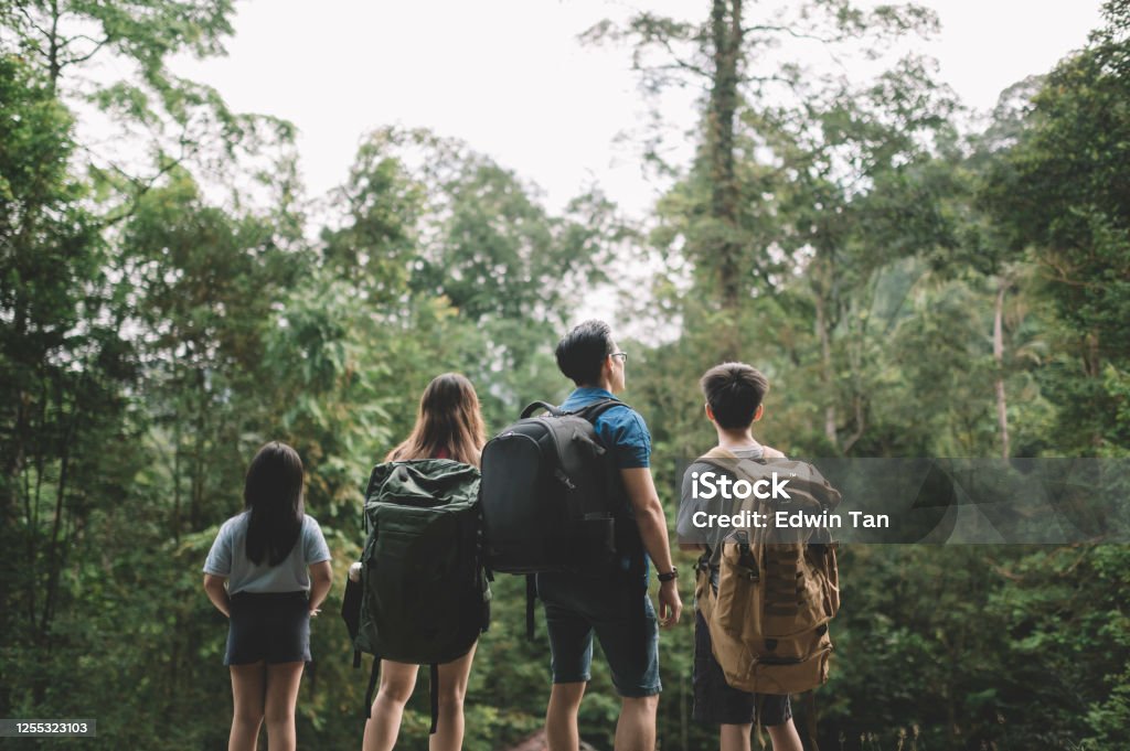 an asian chinese family of 2 children standing in front of the tropical rainforest in the morning looking Family Stock Photo