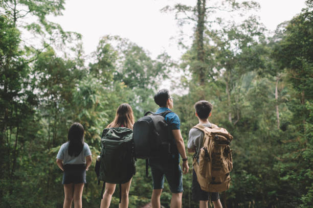 uma família chinesa asiática de 2 crianças paradas em frente à floresta tropical na parte da manhã olhando - people traveling journey group of people hiking - fotografias e filmes do acervo