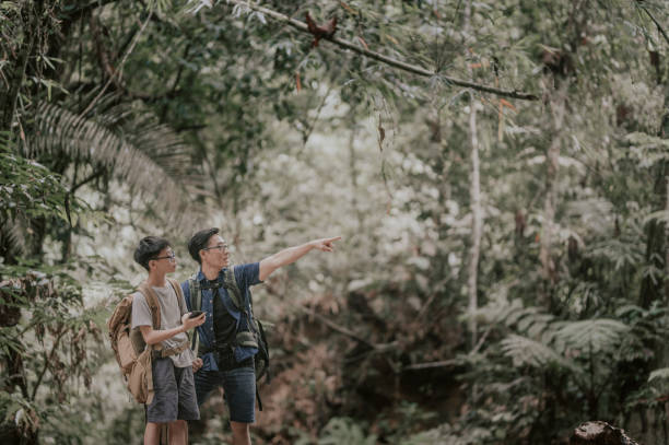 istock an asian chinese father hiking and exploring forest with his son looking at mobile app on map for direction navigation 1255323221
