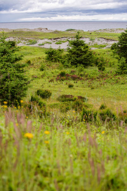 istock Haida Gwaii Coastline 1255324742