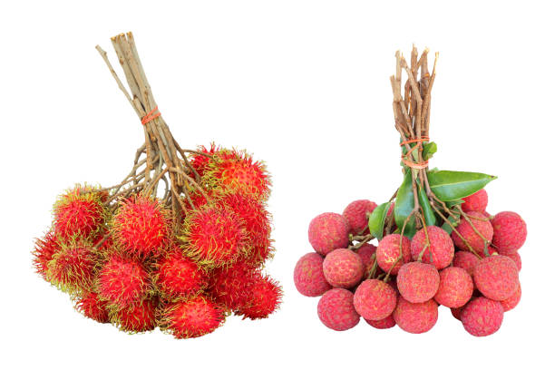 istock lychees and rambutan isolated on white background 1255327534