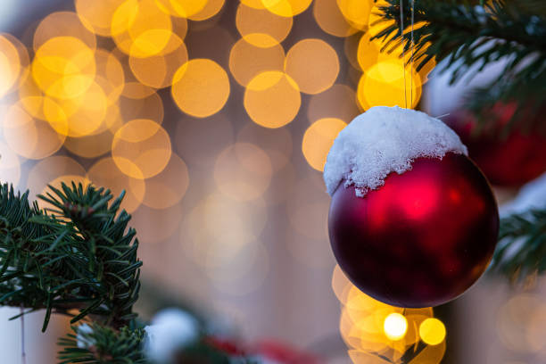 istock Colorful decorations on snow-covered Christmas tree branches. Defocused background with Christmas lights. 1255327584