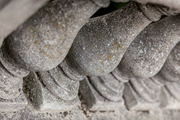 istock Balusters of Magdalen Bridge 1255327587