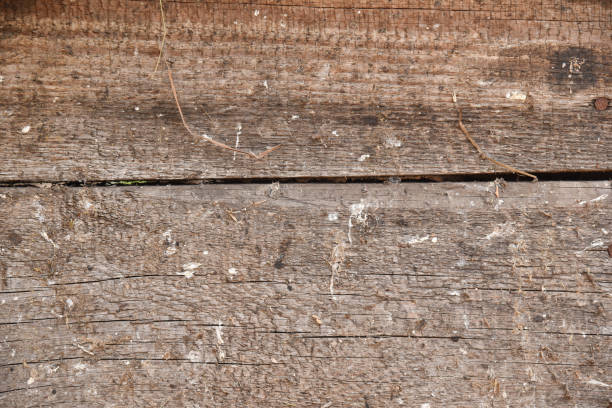 background of old wooden boards with knots and crevices. - injecting tree close up old imagens e fotografias de stock
